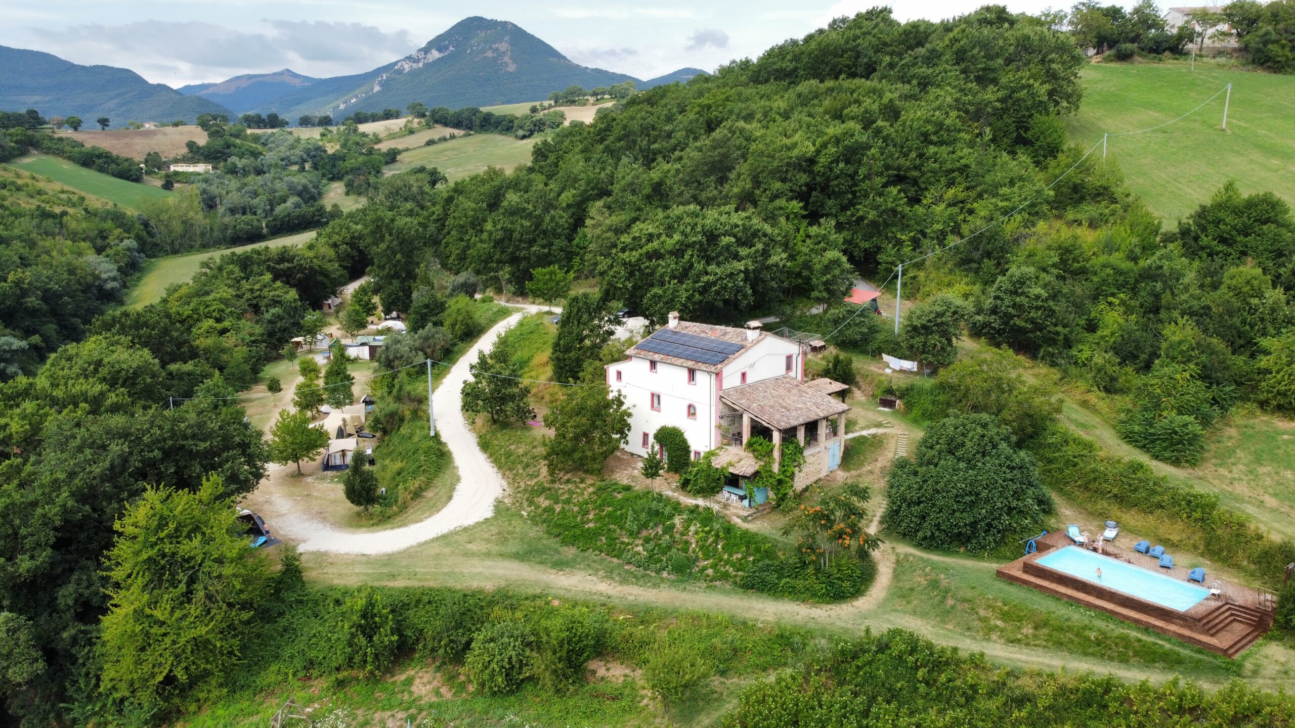Faranghe! — photo 4