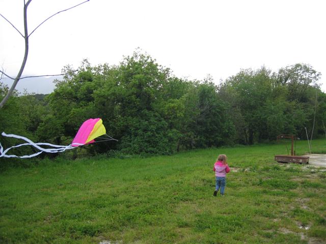 onze 2 jarige kite runner